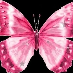 Meet your Posher, Elena